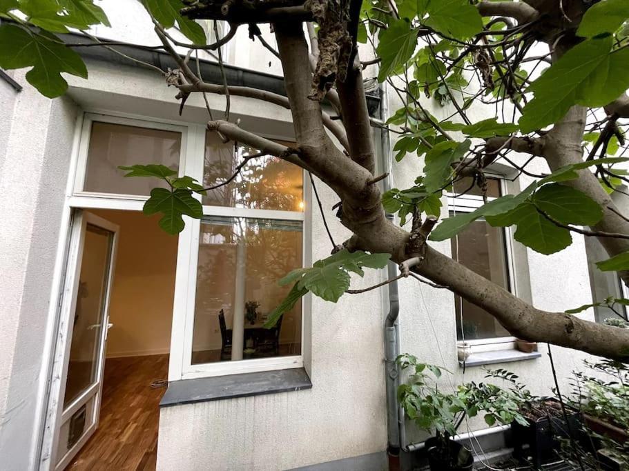 Cosy & Central Flat Near Duesseldorf Center Zewnętrze zdjęcie